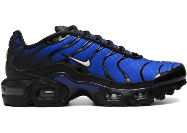 Nike Air Max TN – Bleu Royal et Noir