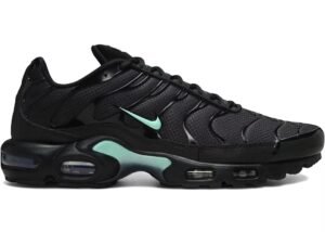 Nike Air Max TN – Noir et Menthe Aqua