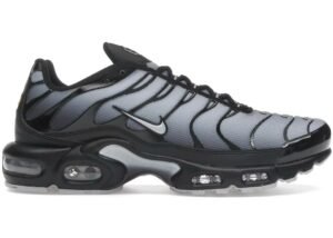 Nike Air Max TN – Gris Clair et Noir Ombré